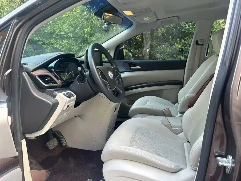 Buick GL8 — миниатюра 16