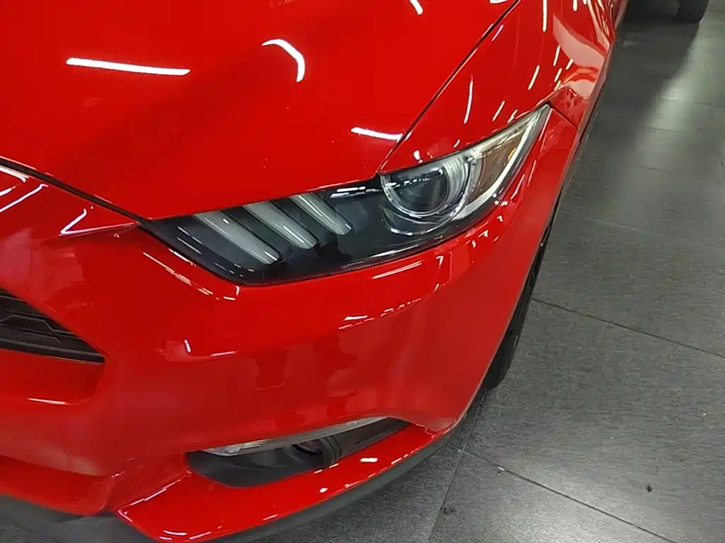 Ford Mustang — миниатюра 24
