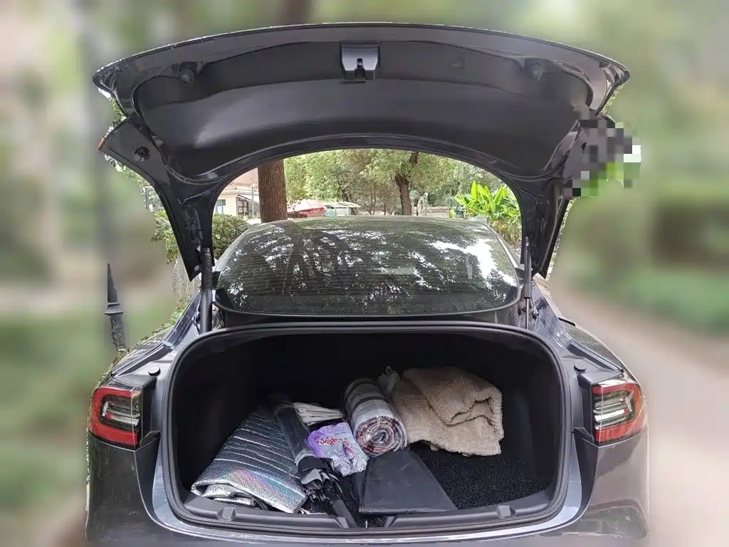 Tesla Model 3 — миниатюра 16