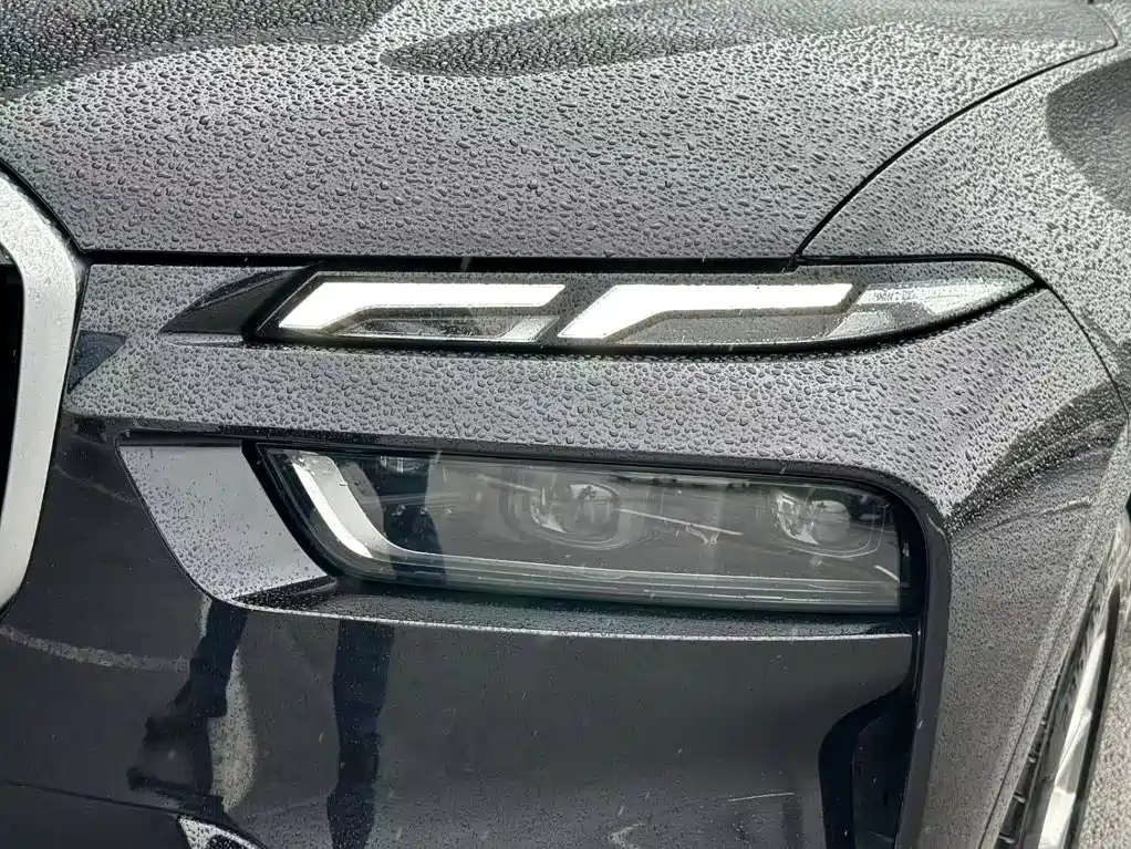 BMW X7 — миниатюра 7