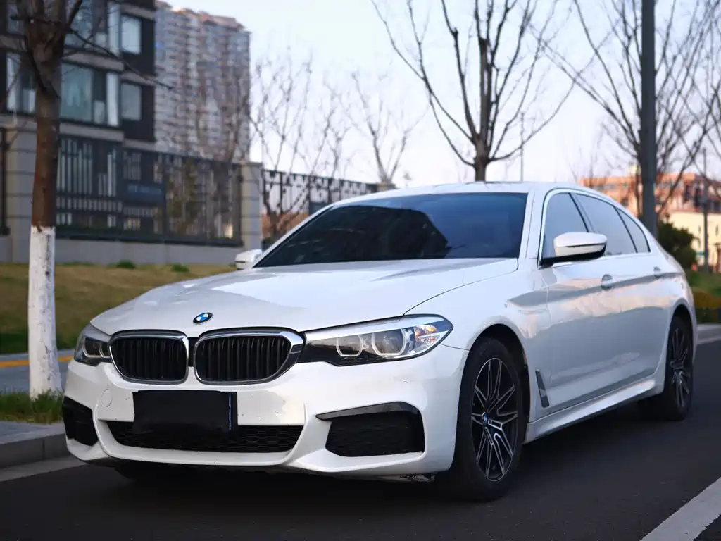 BMW 5 Series 2020