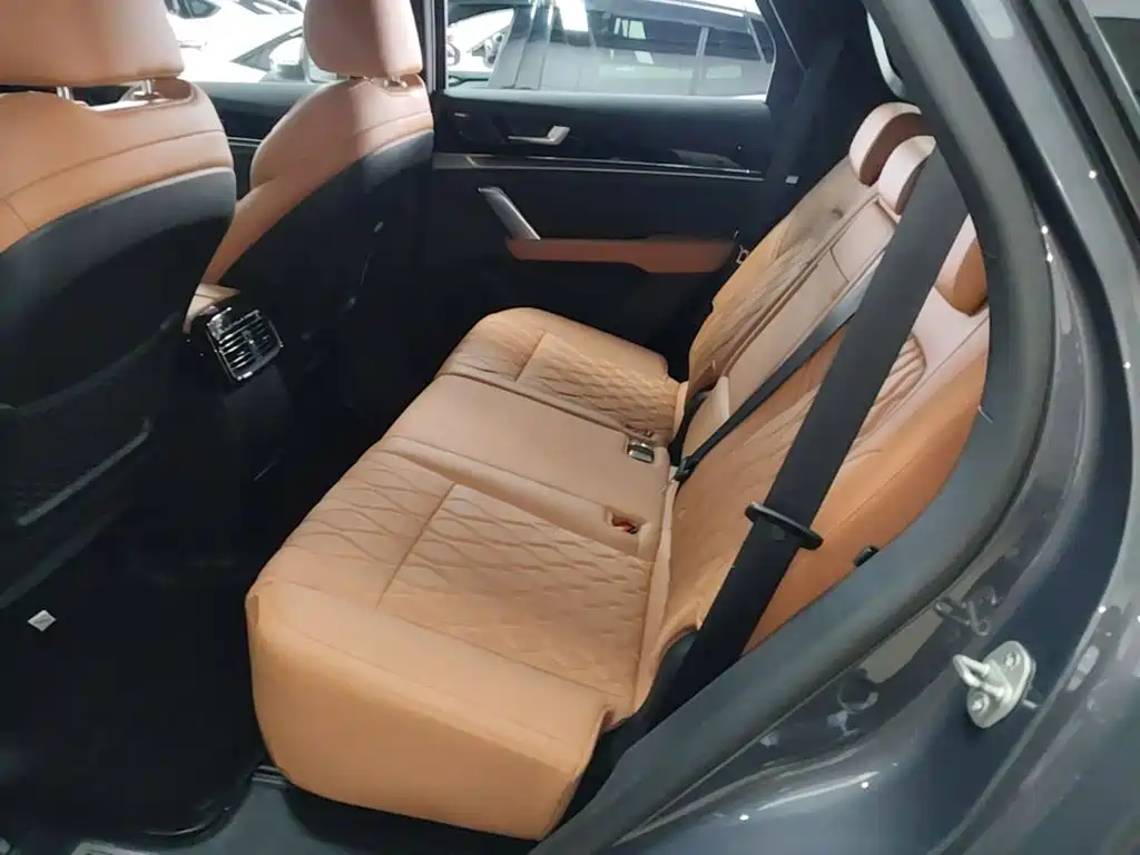 BYD Tang New Energy — миниатюра 17