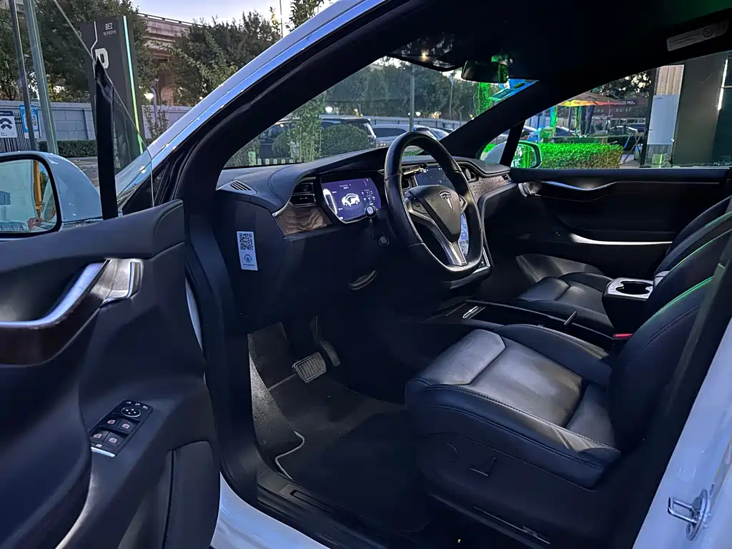 Tesla Model X — миниатюра 7