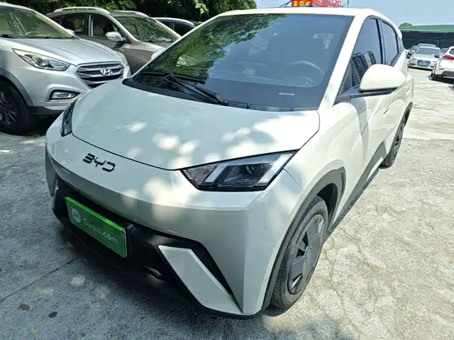 2025 BYD Seagull