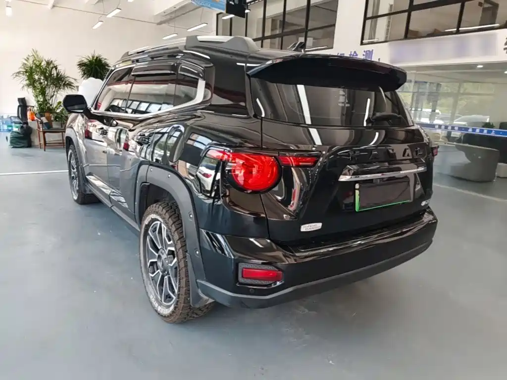 Haval Плюс новая энергия. — миниатюра 5