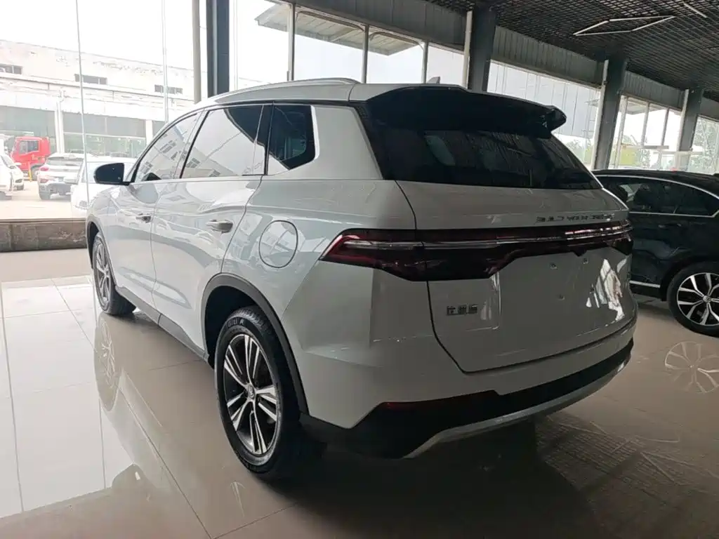 BYD Pro — миниатюра 5