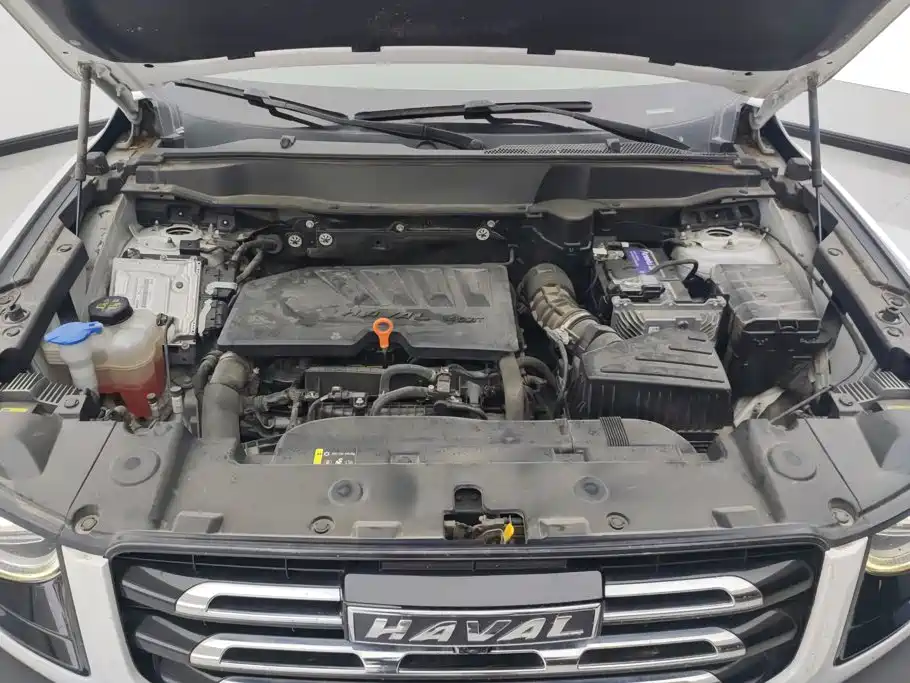 Haval Big Dog — миниатюра 10