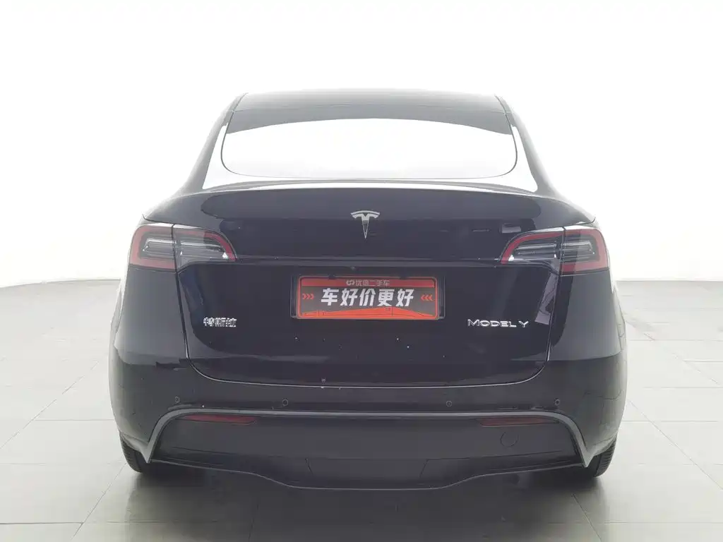 Tesla Model Y — миниатюра 4