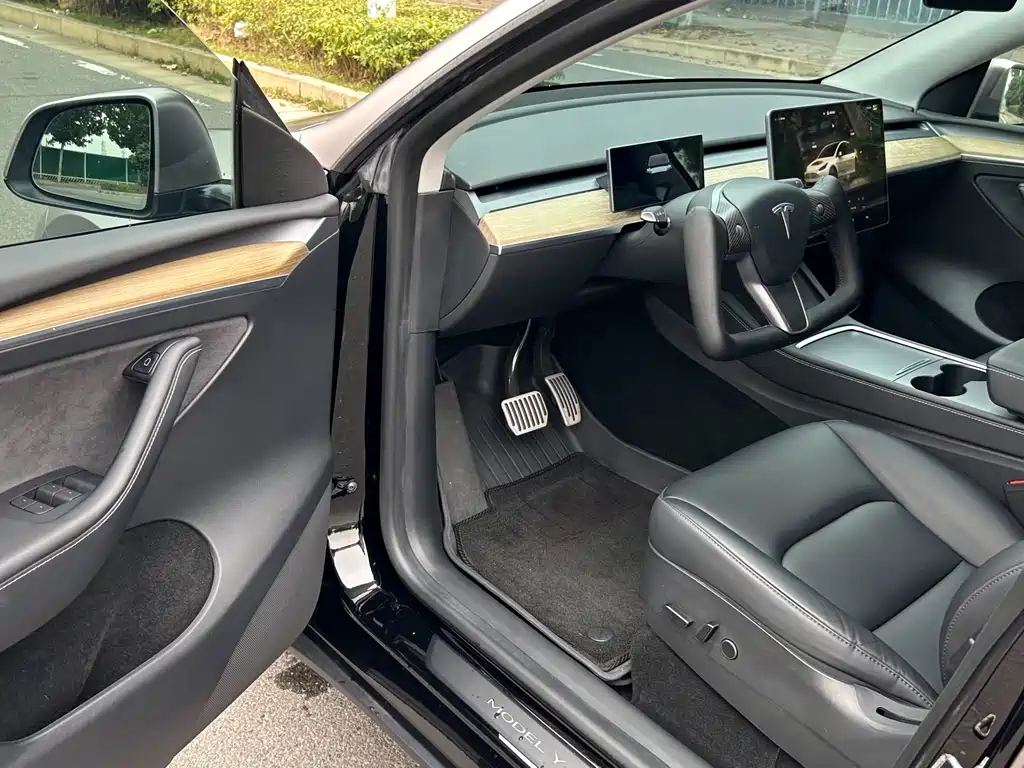 Tesla Model Y — миниатюра 4