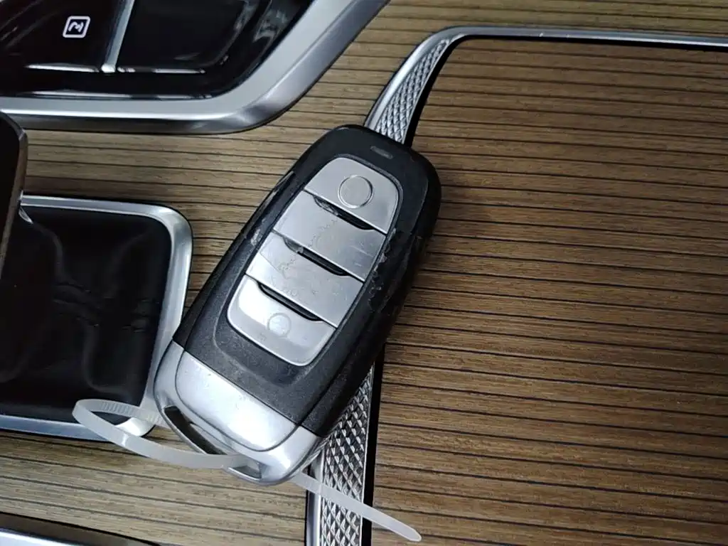 Hongqi Hongqi E-HS9 — миниатюра 9