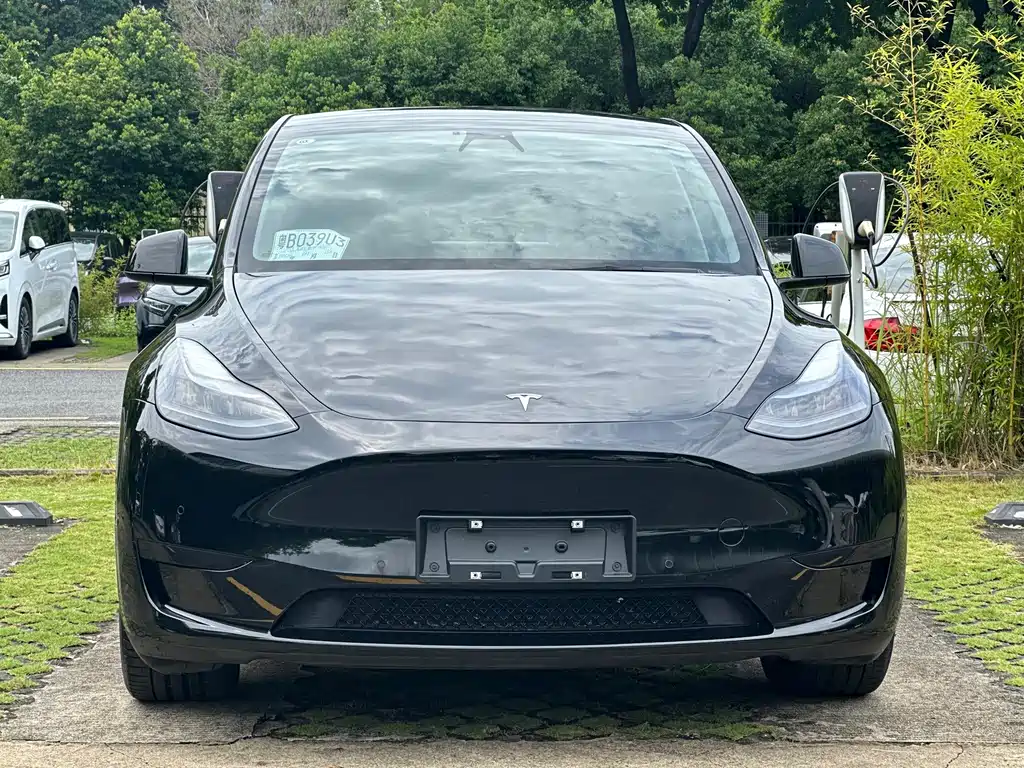 Tesla Model Y — миниатюра 2