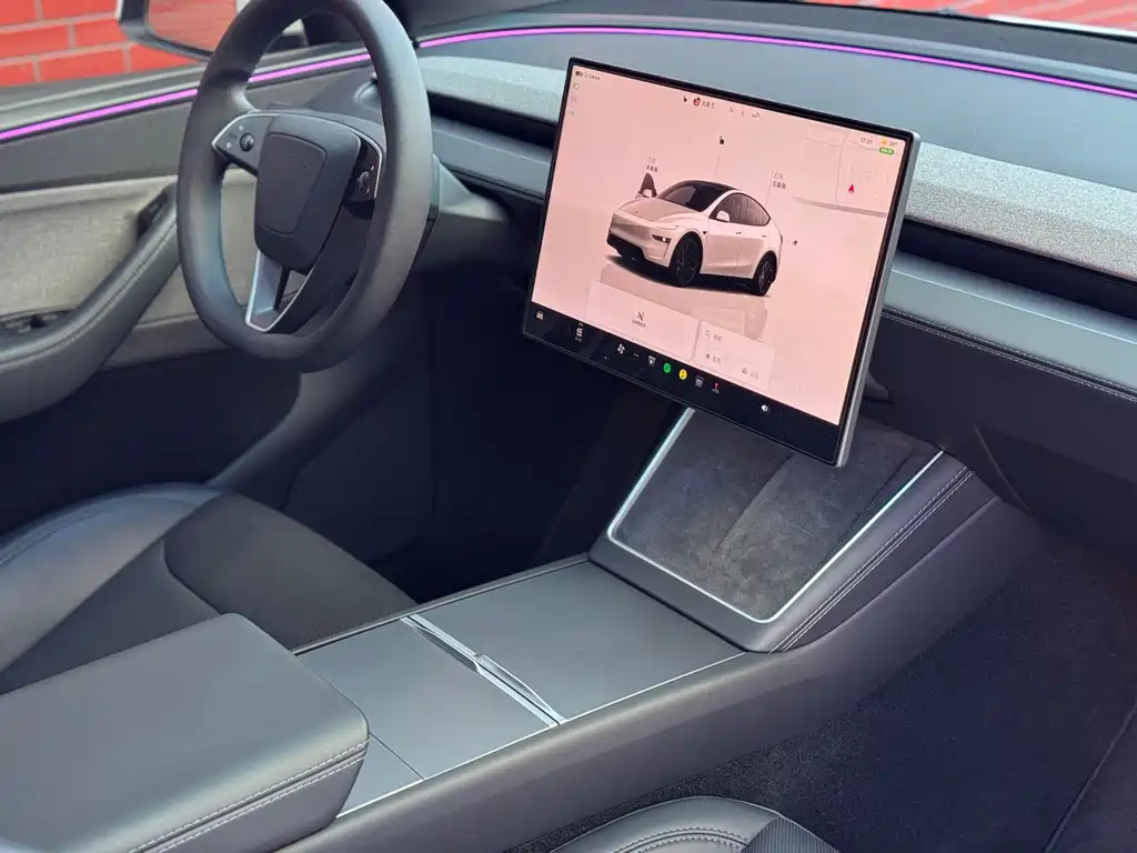 Tesla Model Y — миниатюра 14