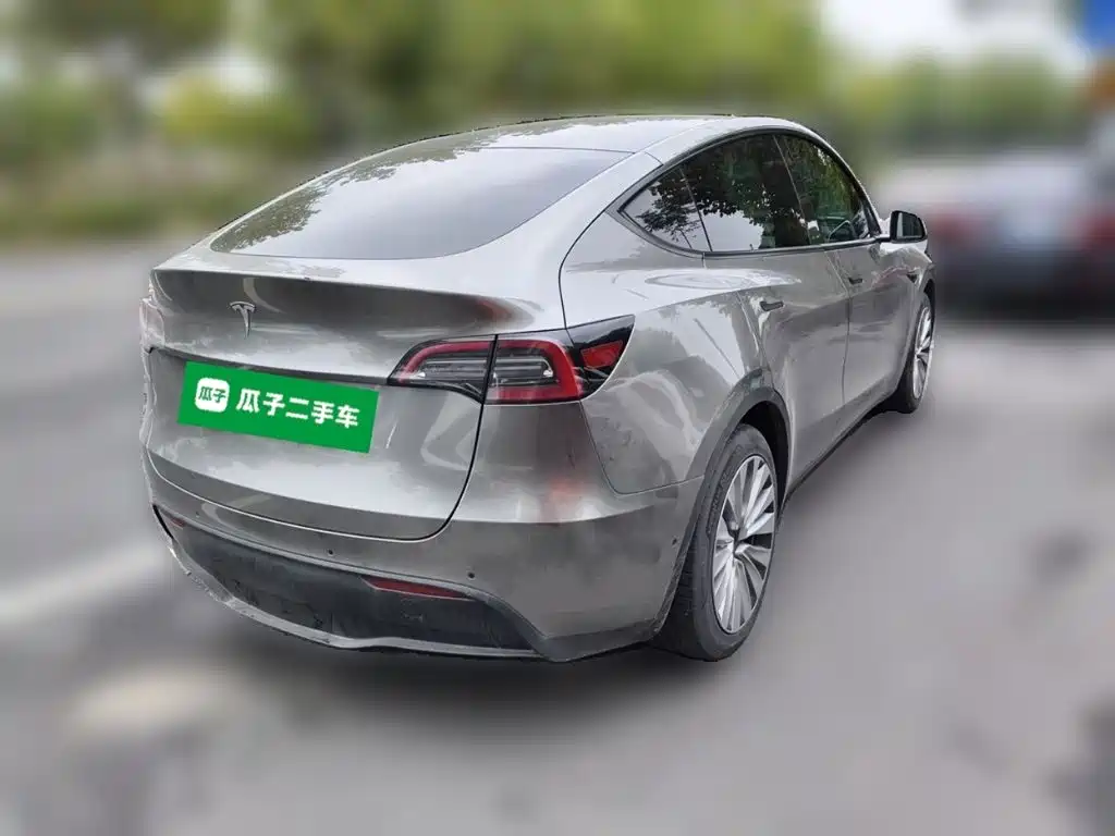 Tesla Model Y — миниатюра 4
