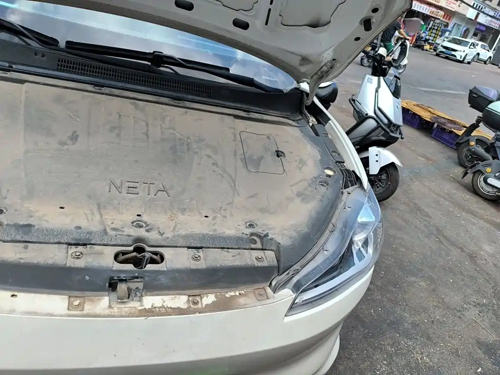 Neta Neta V — миниатюра 22