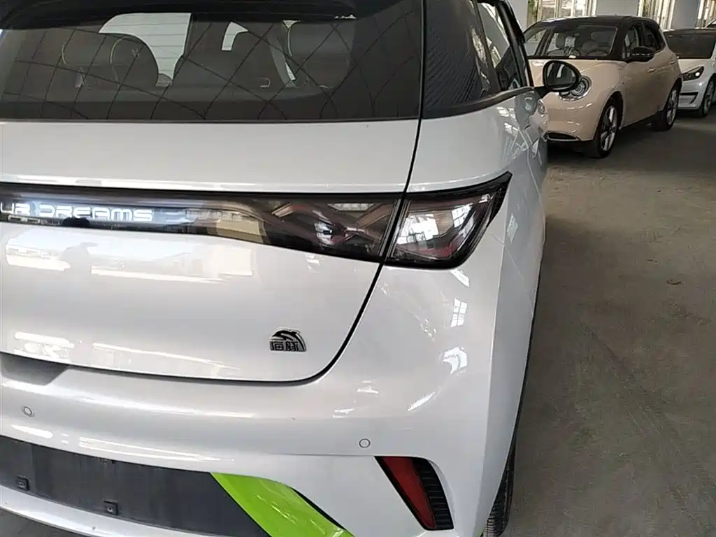 BYD Dolphin 2021 405km Fashion
