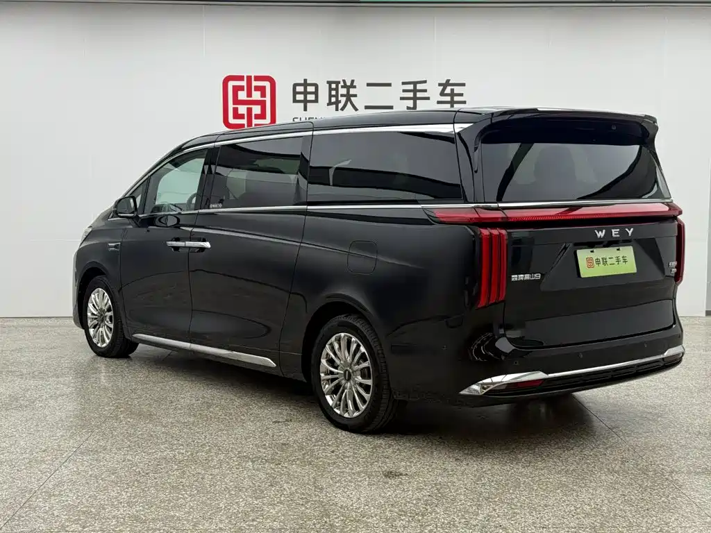 Wey 魏牌 高山新能源 — миниатюра 6