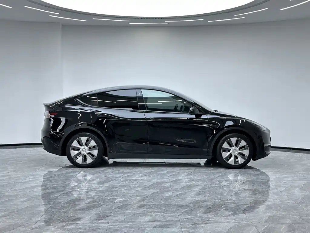 Tesla Model Y — миниатюра 8