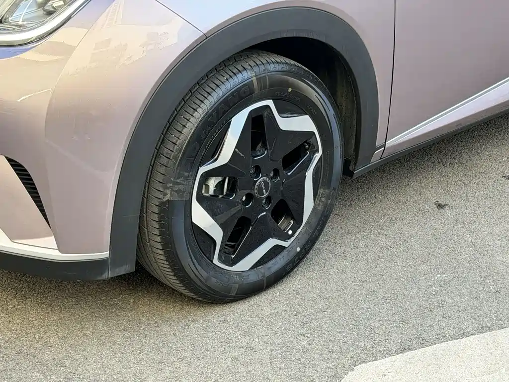 BYD Dolphin — миниатюра 14