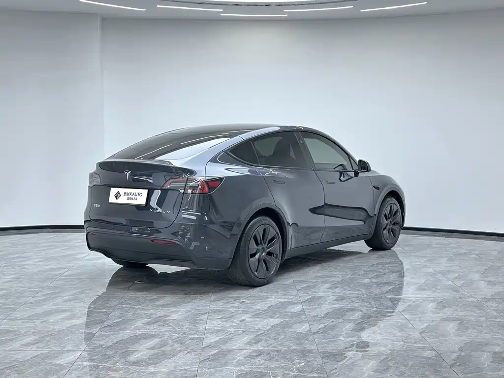 Tesla Model Y — миниатюра 2