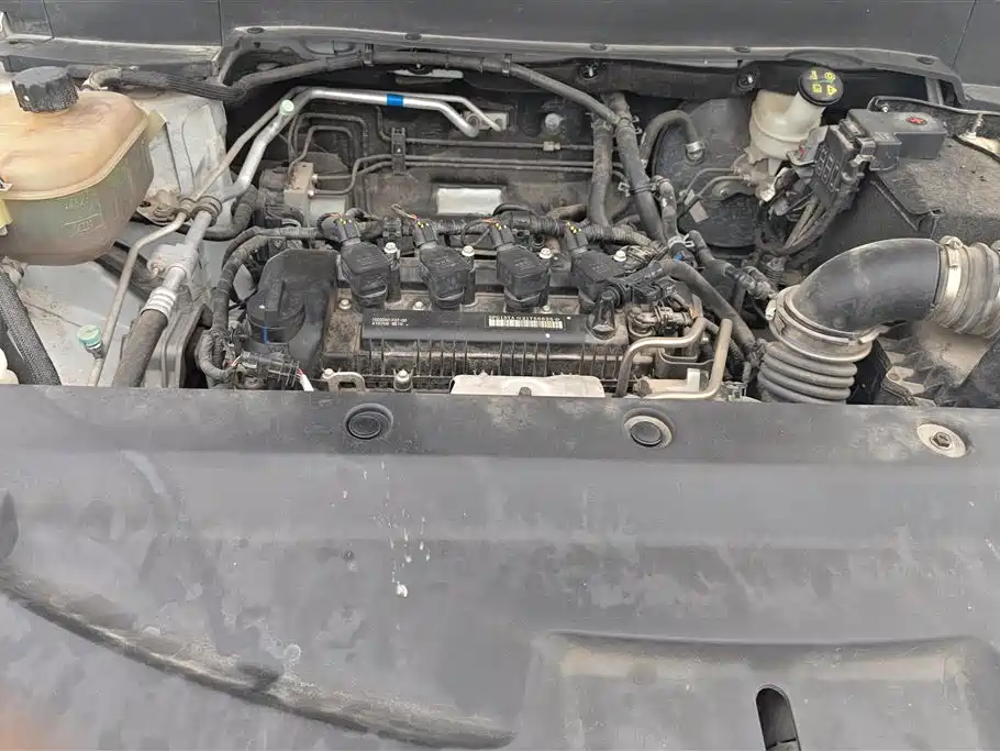 DONGFENG SCENERY 500