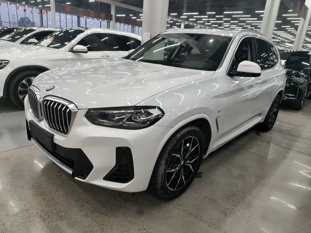 BMW X3 — миниатюра 7
