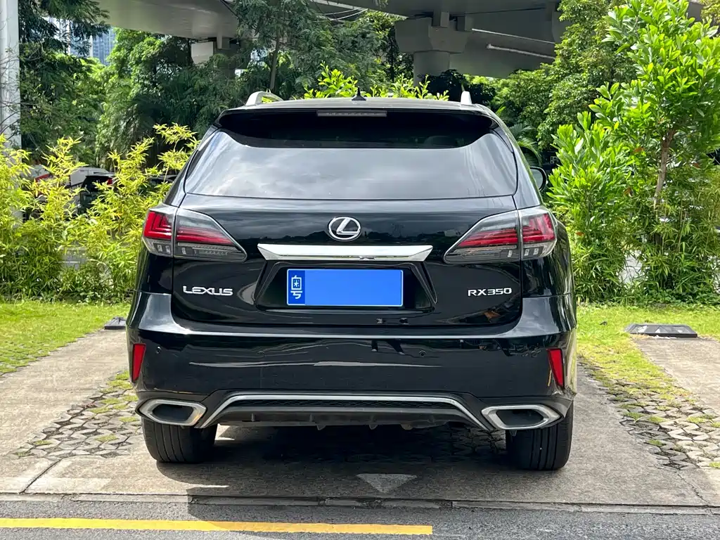 Lexus RX Classic — миниатюра 5