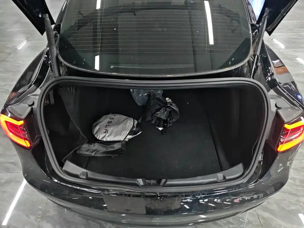 Tesla Model 3 — миниатюра 19