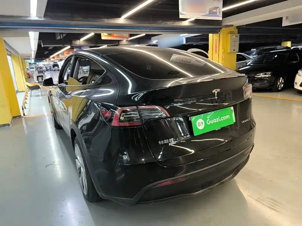 Tesla Model Y — миниатюра 5