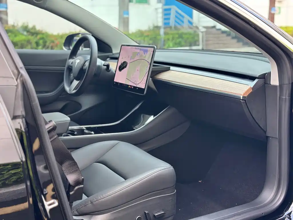 Tesla Model 3 — миниатюра 14