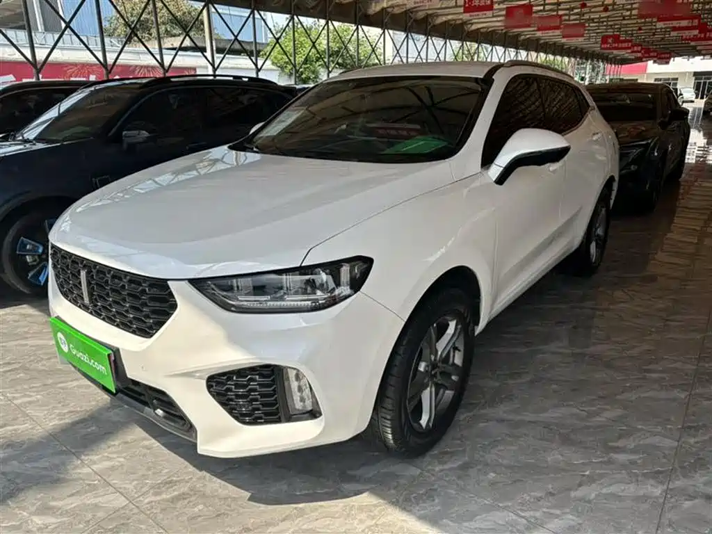 WEI PAI WEI BRAND VV5