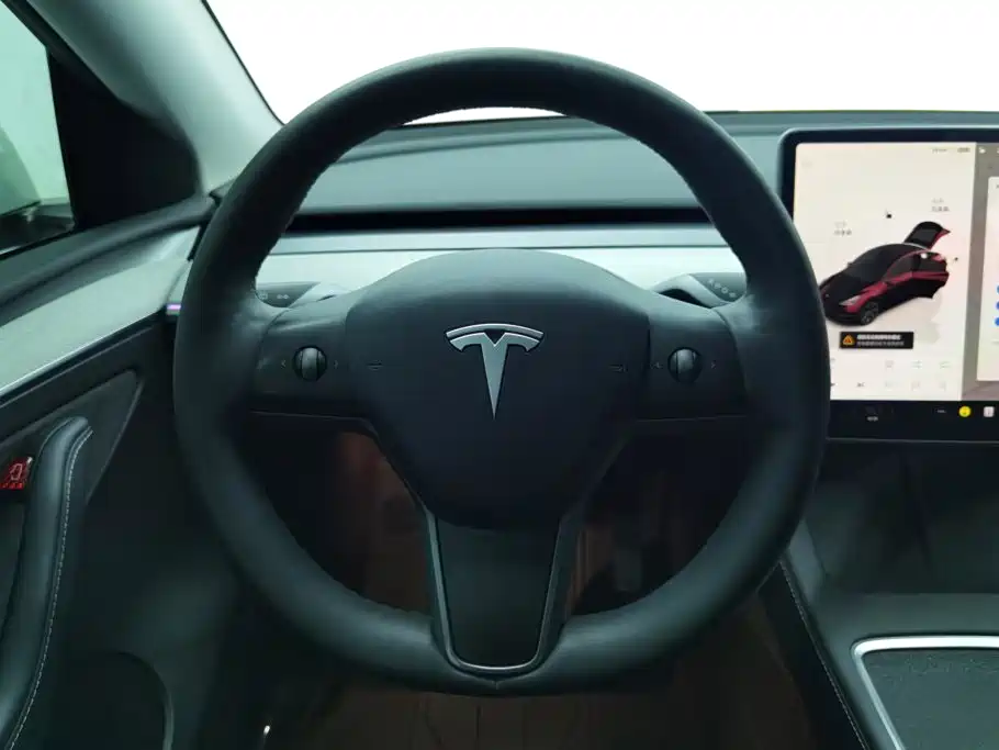 Tesla Model Y — миниатюра 15