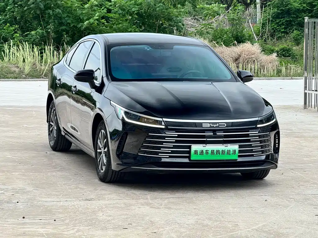 BYD Destroyer 05 2023 Champion DM-i 55KM Luxury