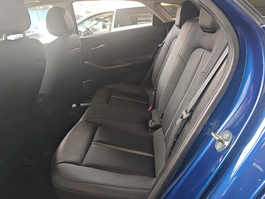 Hyundai Fista — миниатюра 11