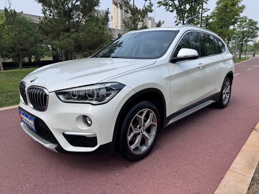 BMW X1 — миниатюра 2