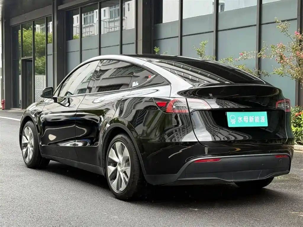 Tesla Model Y — миниатюра 6