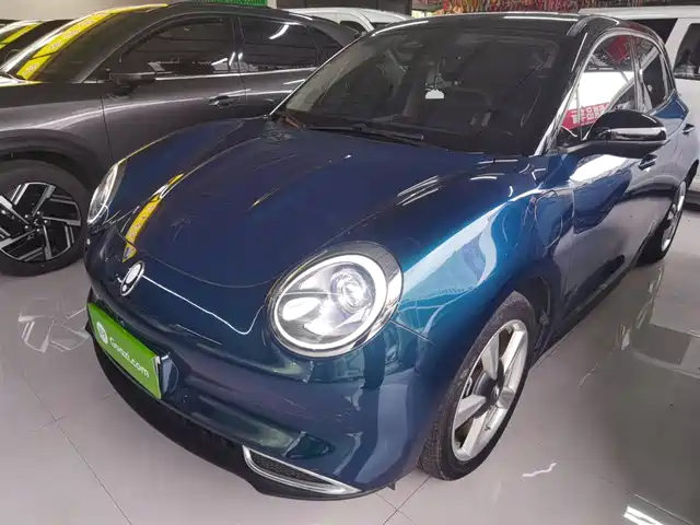 EULER  GOOD CAT 2023