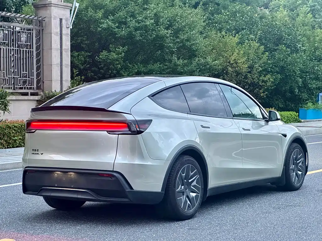 Tesla Model Y L — миниатюра 6
