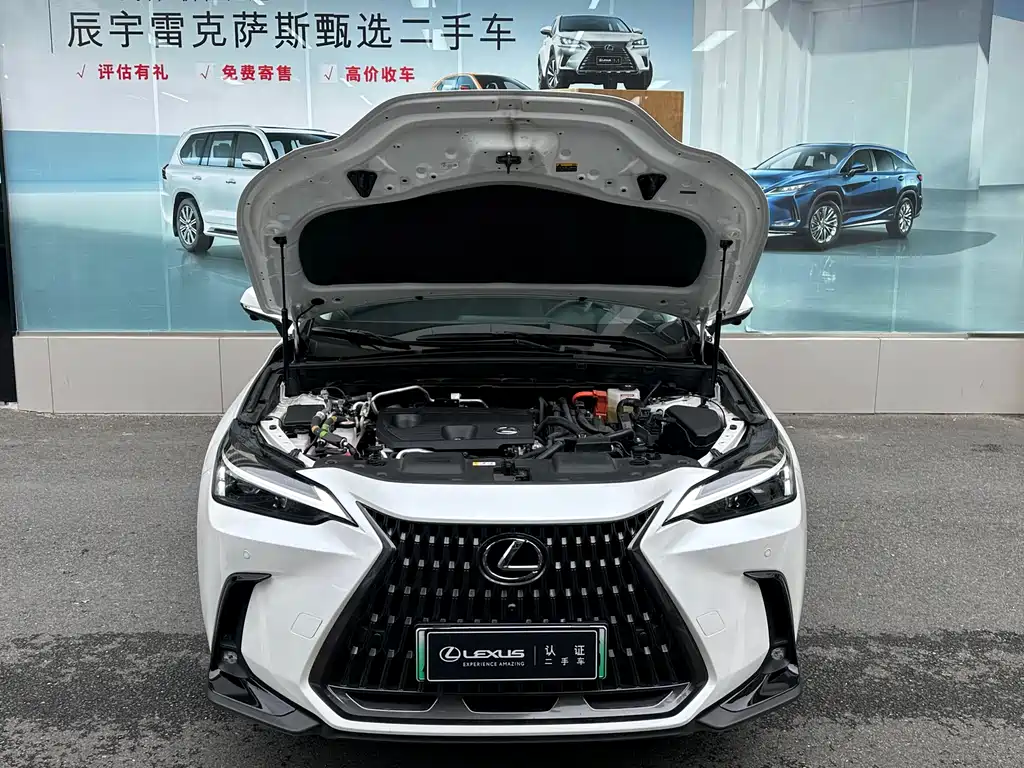 LEXUS  NX NEW ENERGY