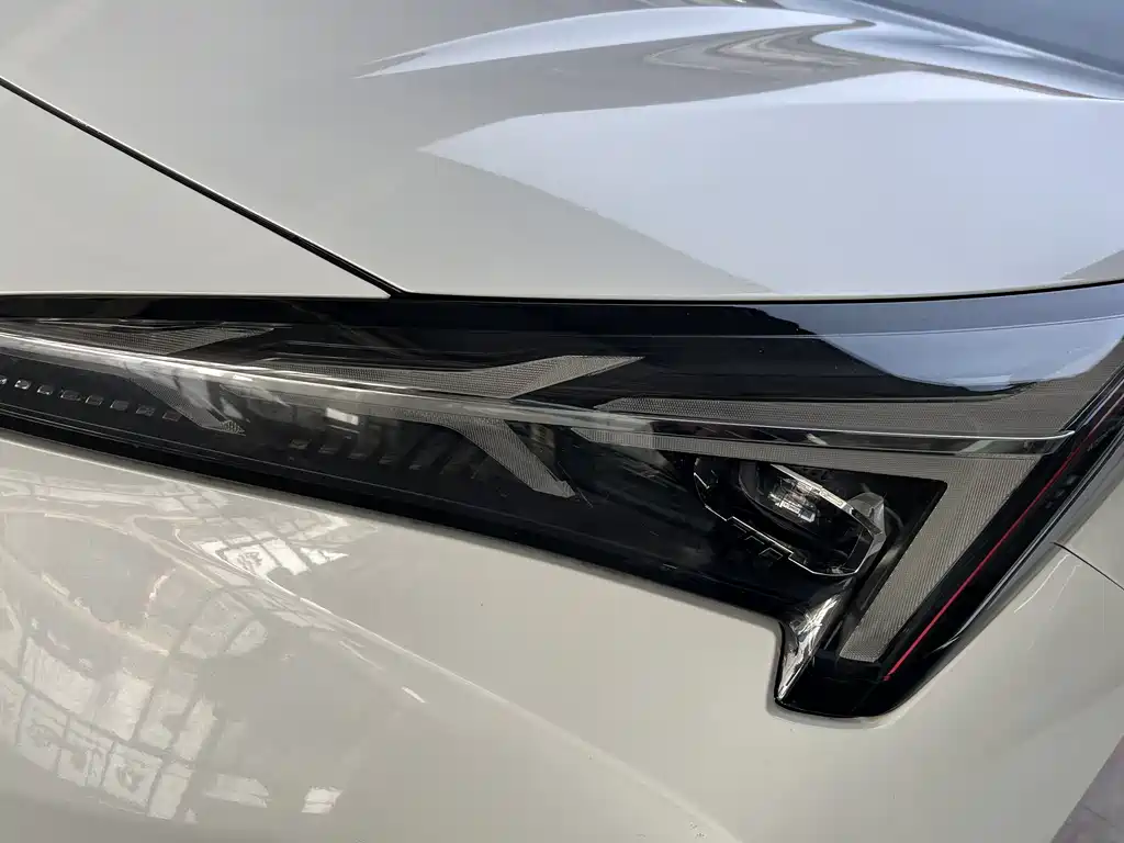 ARCFOX EXTREME FOX POLAR FOX ALPHA T5