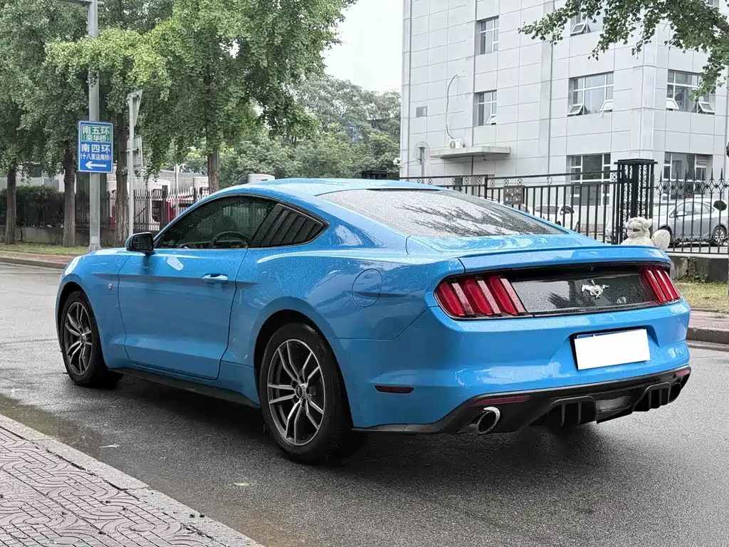 Ford Mustang — миниатюра 19