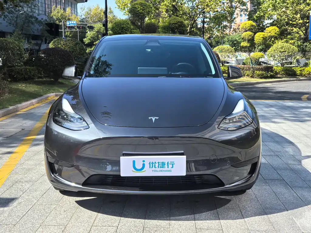 Tesla Model Y — миниатюра 3