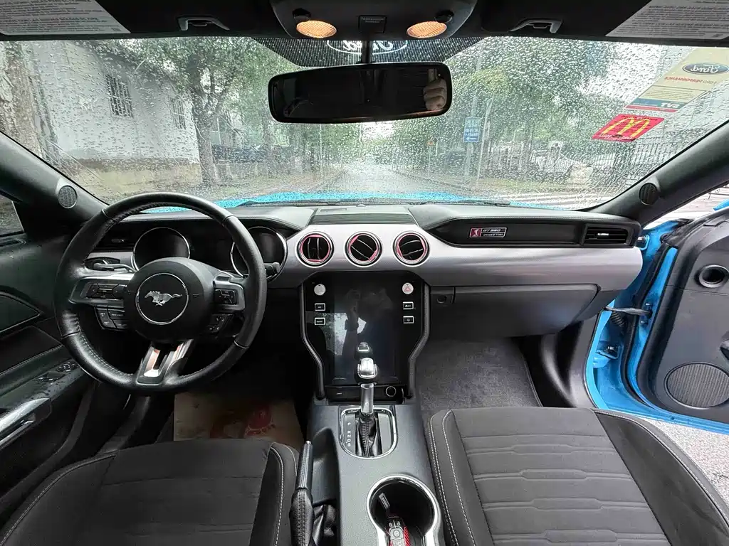 Ford Mustang — миниатюра 12