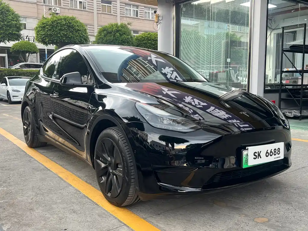 Tesla Model Y — миниатюра 3