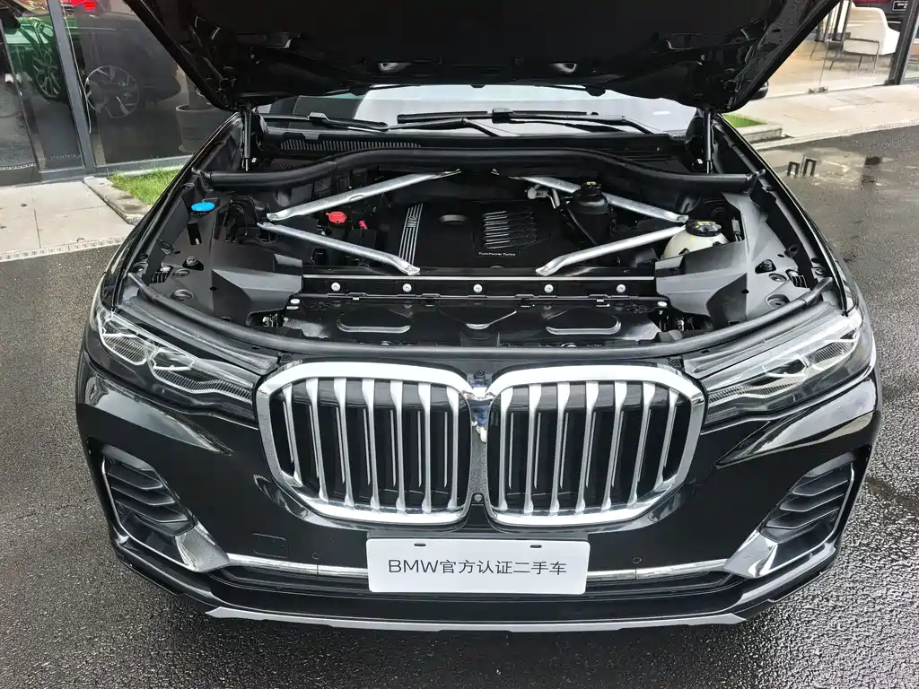 BMW X7 — миниатюра 3