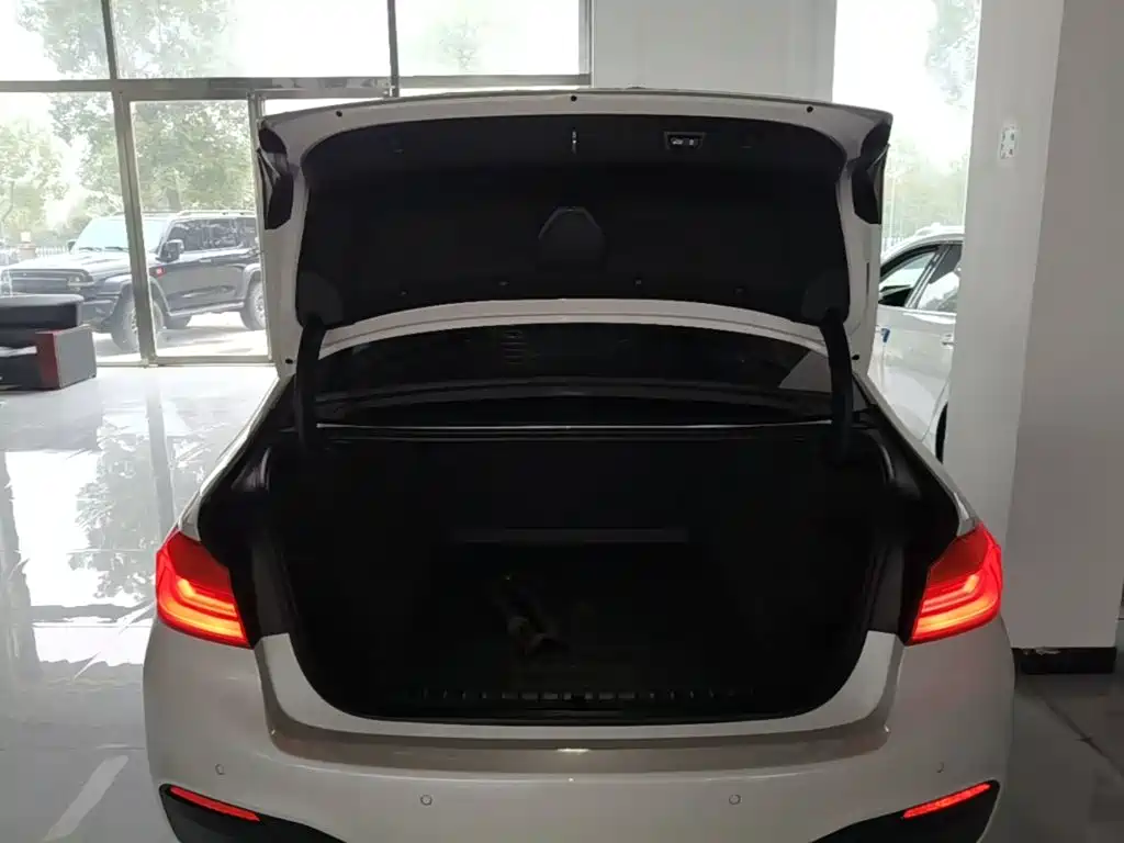 BMW 5 Series — миниатюра 19