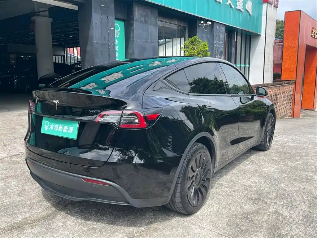 Tesla Model Y — миниатюра 12
