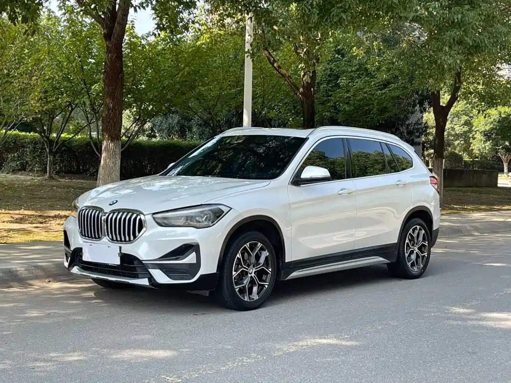 BMW X1 — миниатюра 2