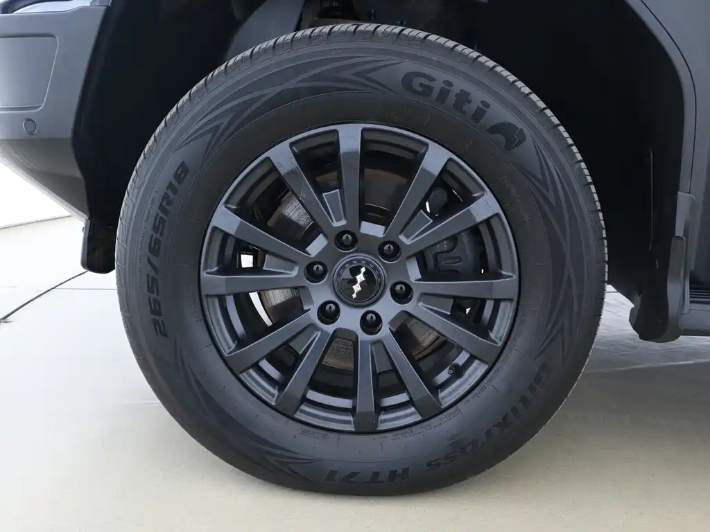 FANG CHENG BAO LEOPARD 5