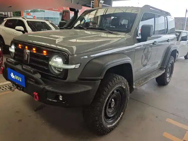 2025 TANK 300