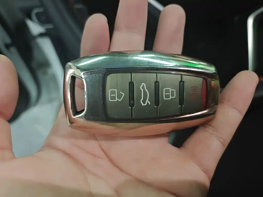 Haval Chitu — миниатюра 11